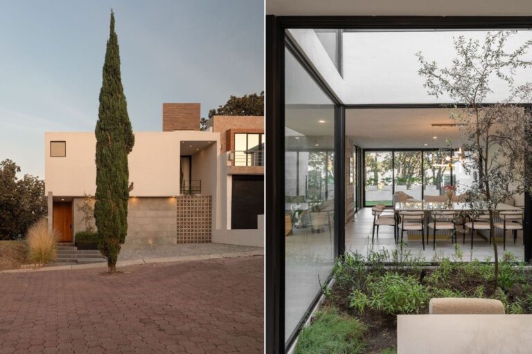 Casa entre arboles por IMA taller de arquitectura
