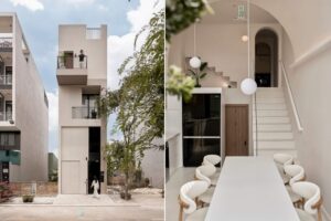 Casa Oasis: Vivienda Unifamiliar con Cocina Central y Techo Abovedado Curvo en Vietnam