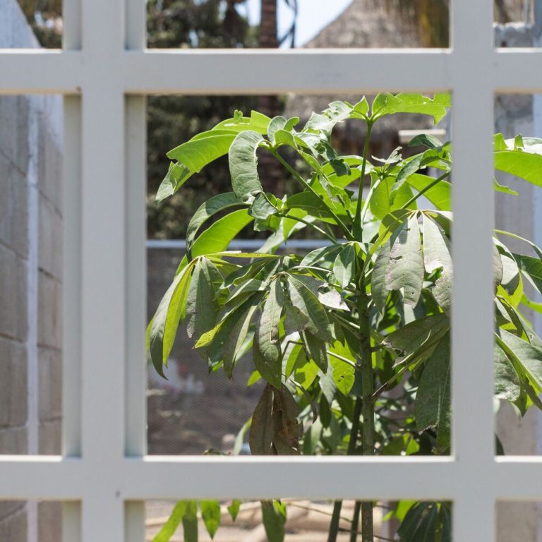 Casa Barajas en Nayarit