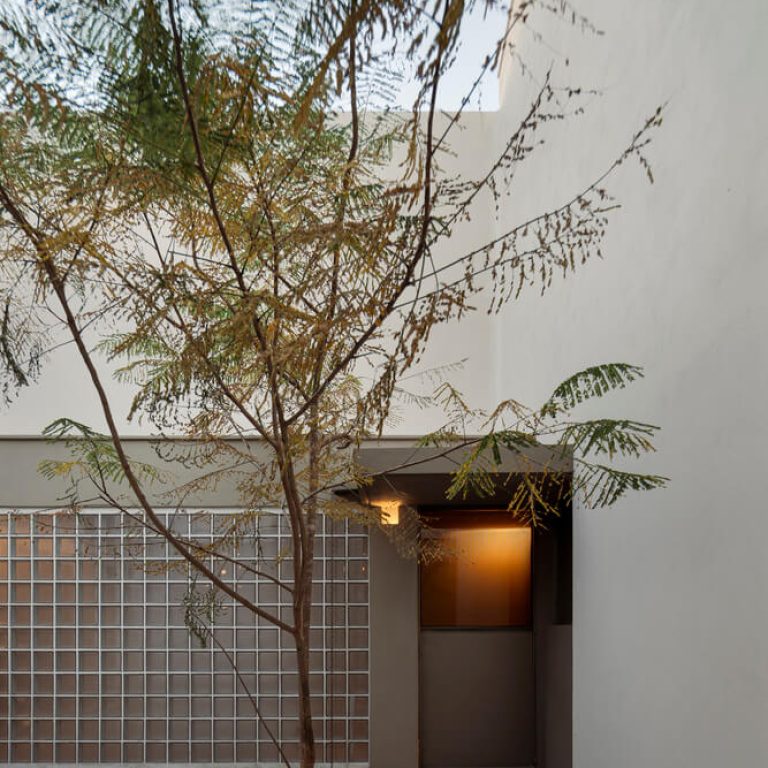 Patio, jardin, muro de celosia. Casa A.Martínez: Arquitectura con Bóveda de Cañón en Michoacan por Taller Michoacán