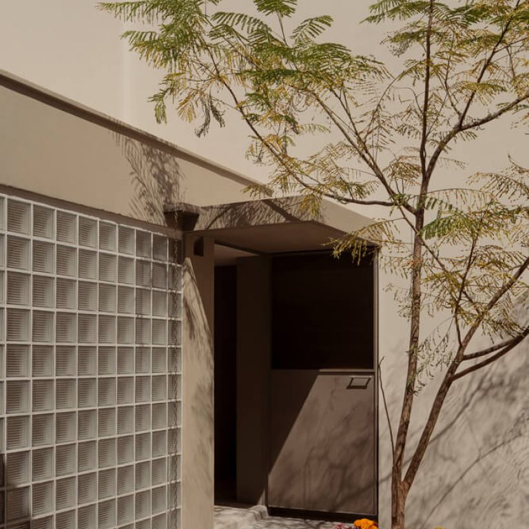 Patio jardin, muro de celosia. Casa A.Martínez: Arquitectura con Bóveda de Cañón en Michoacan por Taller Michoacán