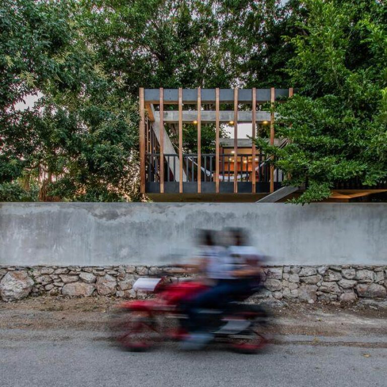 Casa Árbol en Yucatán