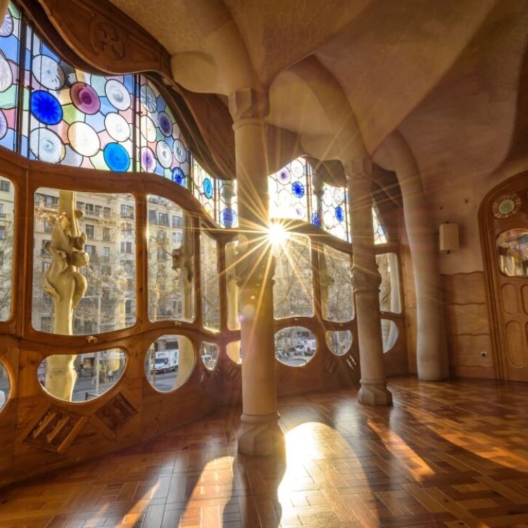 ¿Qué es Organicismo en Arquitectura?