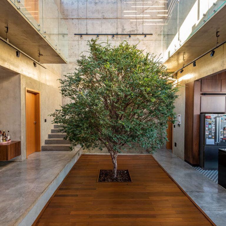 Casa Box en Brasil por Caio Persighini - Fotografía de Arquitectura