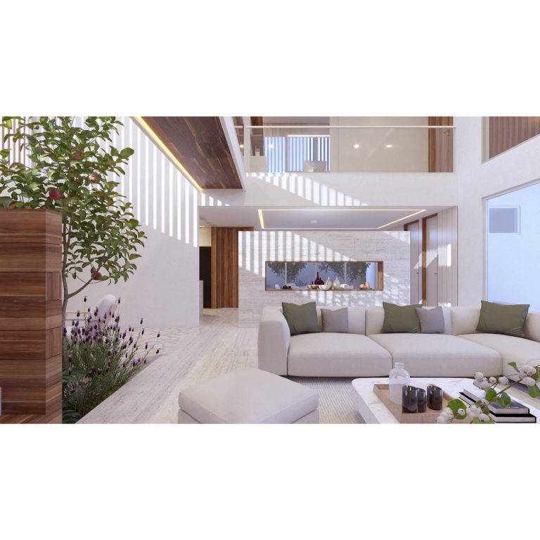 Renders, sala con jardín interior y mobiliario