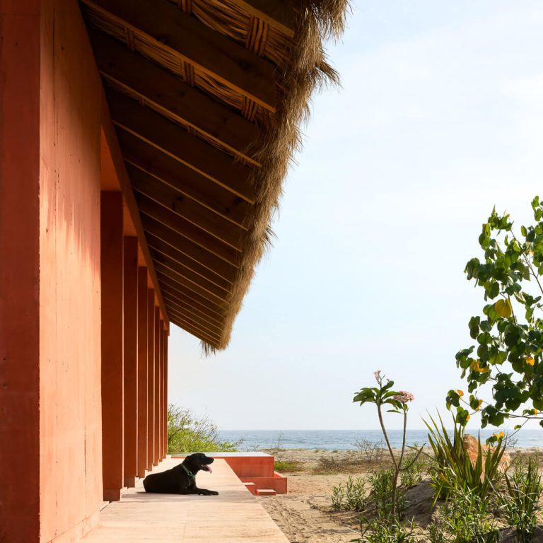 Casa Caimán en Oaxaca: Arquitectura Vernácula y Concreto Pigmentado