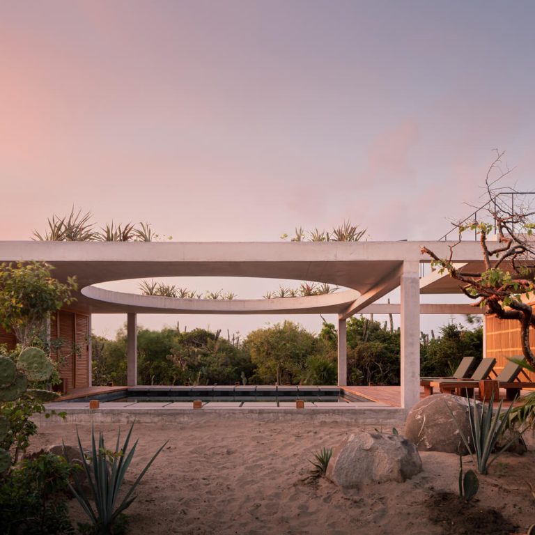 Patio vegetal perimetral de Casa Cieno en Oaxaca