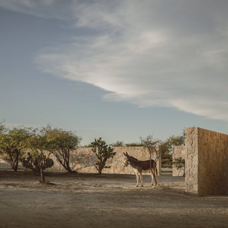 Casa Enson II en Guanajuato por HW Studio - Fotografias de Arquitectura