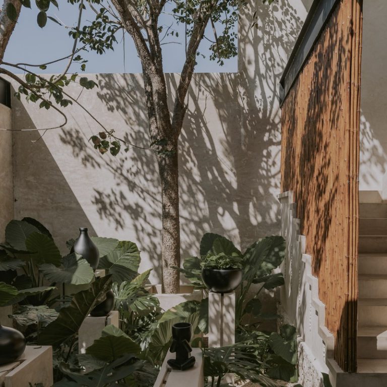 Casa Eya en Mérida: Arquitectura Sensorial y Ancestral | TARA Arquitectura