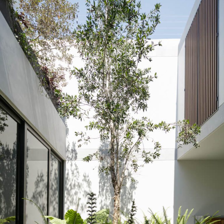 Casa G Zapopan: Diseño Interior y Luz Natural en Residencia de 340 m² por TACHER ARQUITECTOS