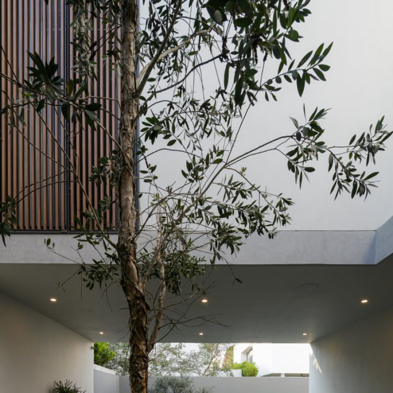 Casa G Zapopan: Diseño Interior y Luz Natural en Residencia de 340 m² por TACHER ARQUITECTOS
