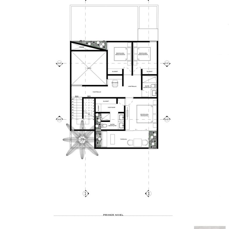 Planta alta