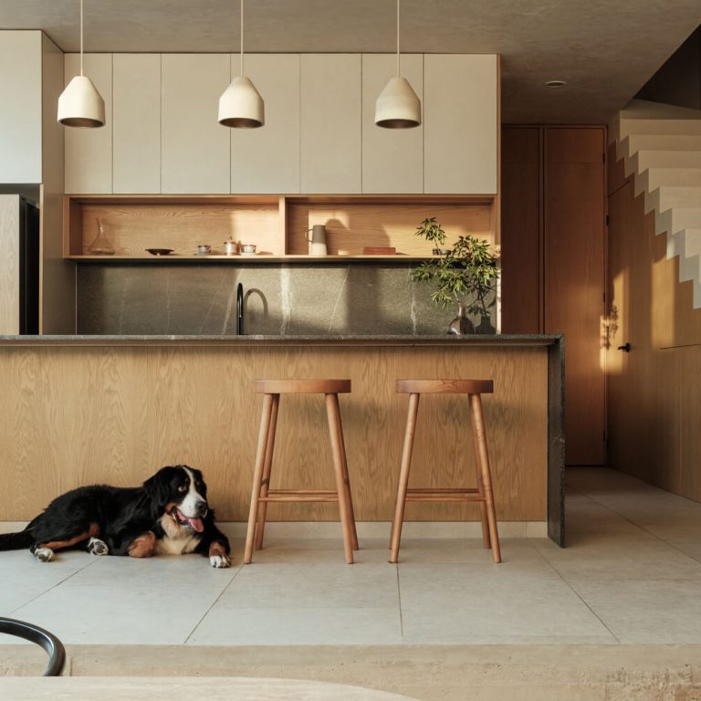 Casa Lantana por Dinamita Taller de Arquitectura