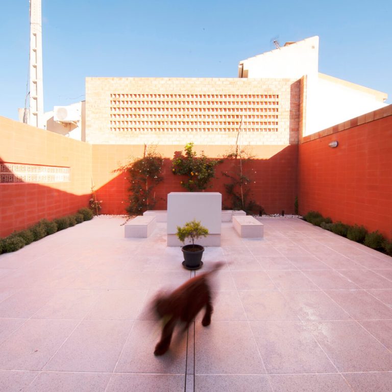 Casa Libertad en España