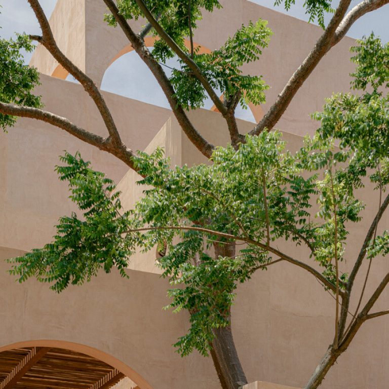 Casa Liquen por Fino Lozano + Pragma Estudio