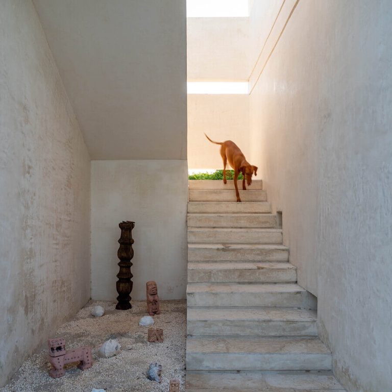 Casa Manglar en Yucatán
