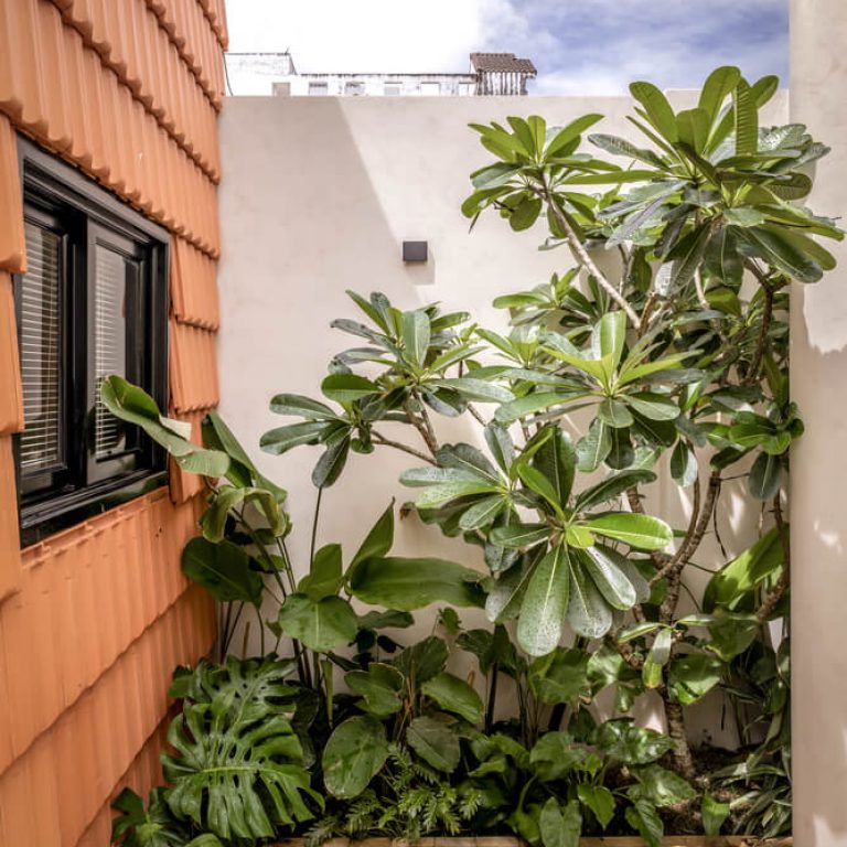 Casa Nhà Voi 7 Jardines en Vietnam