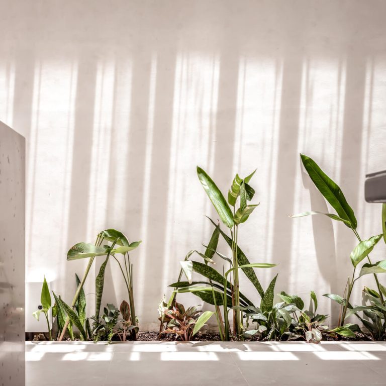 Casa Nhà Voi 7 Jardines en Vietnam
