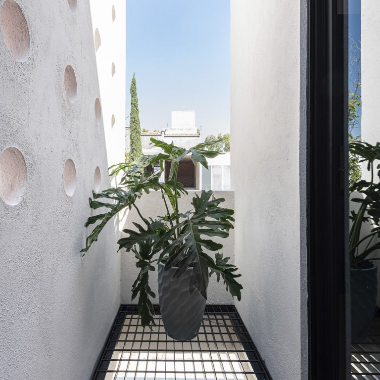 Casa Nogal en Aguascalientes por 11:11 arquitectos