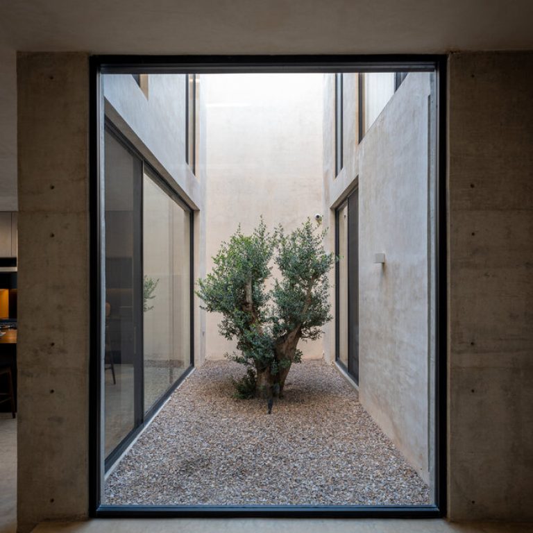 Casa Olivo: Vivienda Contemporánea de Concreto por trescuatro arquitectura