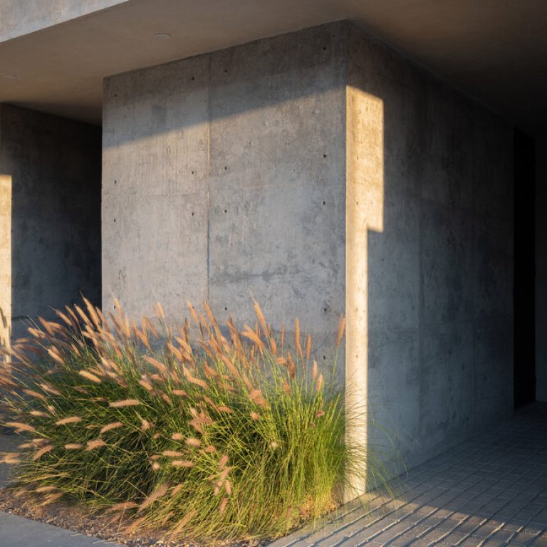 Casa Olivo: Vivienda Contemporánea de Concreto por trescuatro arquitectura