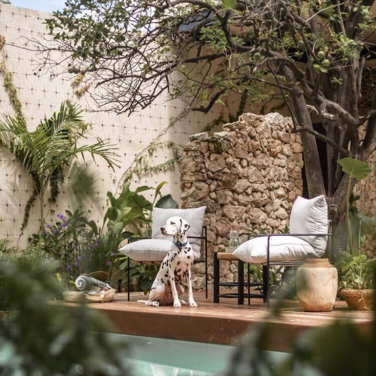 Casa Paakal en Yucatán por Workshop Diseño y Construcción - Fotografía de Arquitectura - El Arqui MX