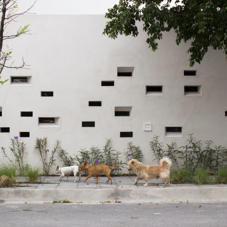 Casa Papagayo en Nuevo León por Ariel Valenzuela + Diego Ledesma - Fotografía de Arquitectura - El Arqui MX