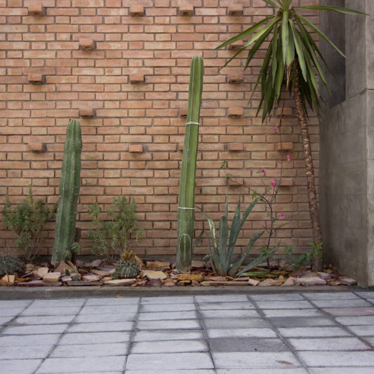 Casa Papagayo en Nuevo León por Ariel Valenzuela + Diego Ledesma - Fotografía de Arquitectura - El Arqui MX