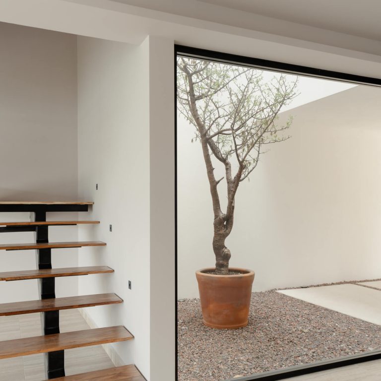 Casa Pino 9 por BASALTO 10 VEINTIOCHO (13)