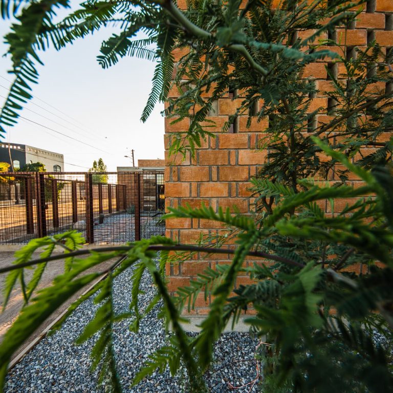 Casa RAT TRAP BOND en Sonora por Veitedoce - Fotografía de Arquitectura - El Arqui MX