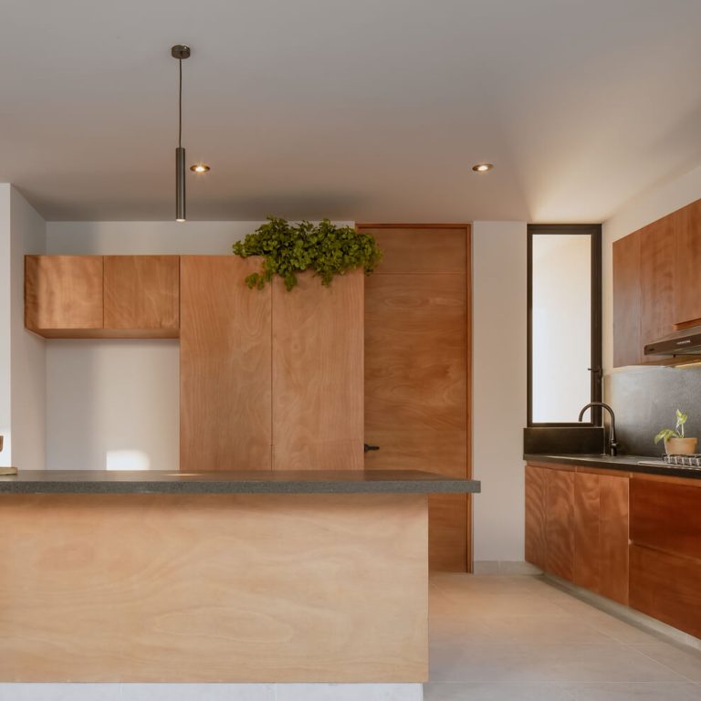 Casa San Martín en Querétaro por Toru Arquitectos - Fotografia de Arquitectura