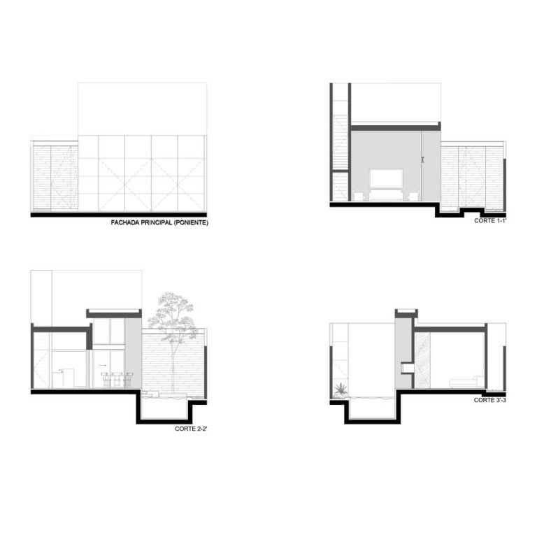 Casa Trucus - Alzado - Sección