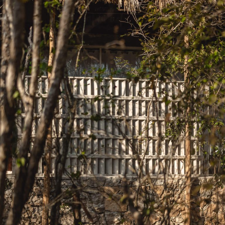 Casa Xcunyá en Yucatán. celosia en la selva