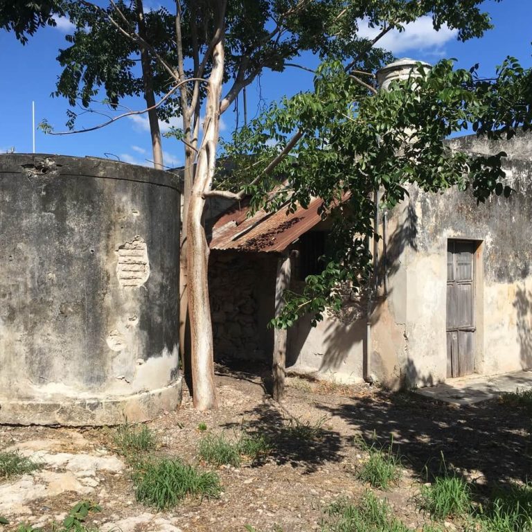 Casa Xólotl en Yucatán por Punto Arquitectónico - Fotografía de Arquitectura - El Arqui MX