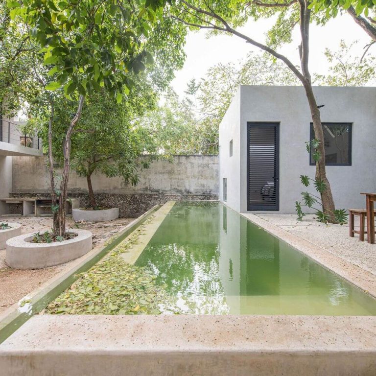 Casa abejas en Yucatán