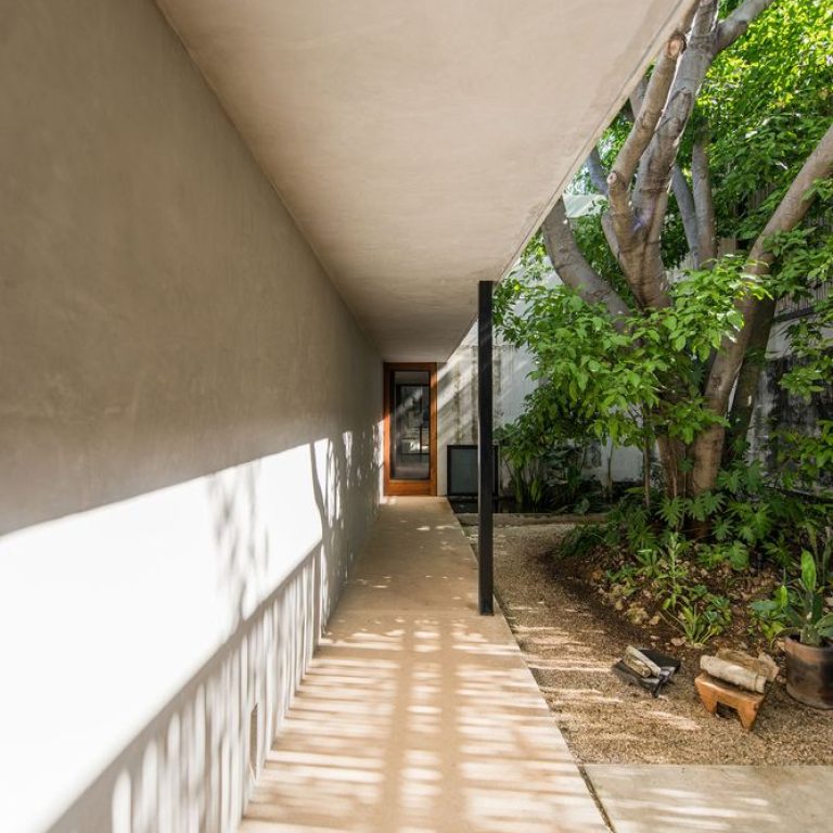 Casa abejas en Yucatán