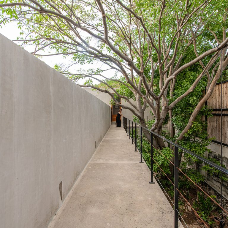 Casa abejas en Yucatán