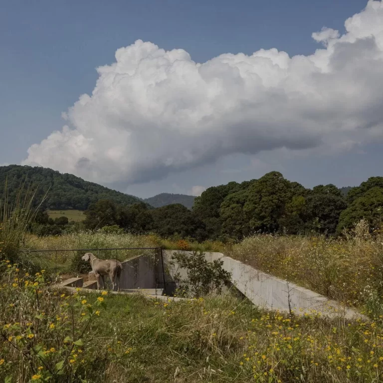 Casa aguacates en Edoméx - Francisco Pardo Arquitecto