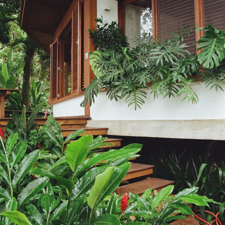 Casa da Figueira en Angra dos Reis: Arquitectura en Madera Laminada Colada y Diseño Curvo de Estúdio Lava