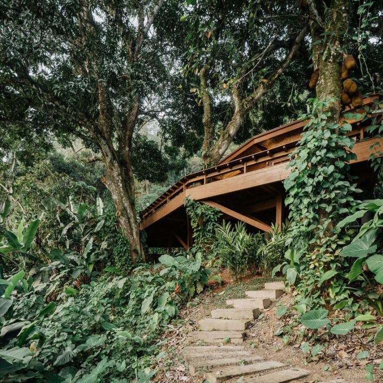 Casa da Figueira en Angra dos Reis: Arquitectura en Madera Laminada Colada y Diseño Curvo de Estúdio Lava