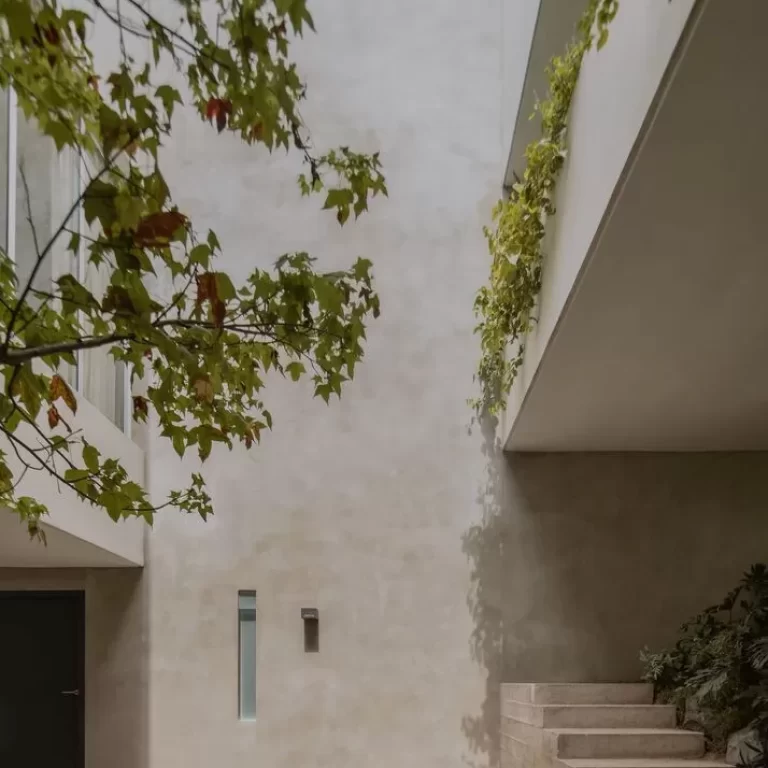 Casa de la Cañada por Escobedo Soliz: Arquitectura en Pendiente y Concreto Aparente