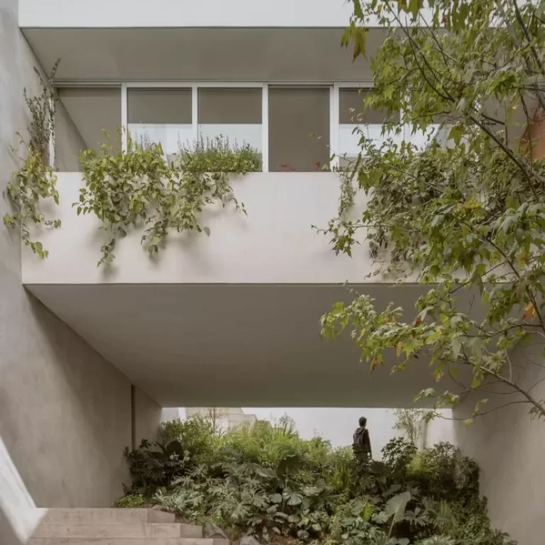 Casa de la Cañada por Escobedo Soliz: Arquitectura en Pendiente y Concreto Aparente