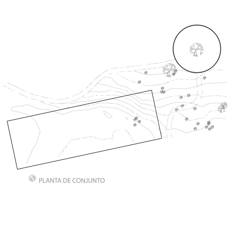 Casa entre arboles por IMA taller de arquitectura
