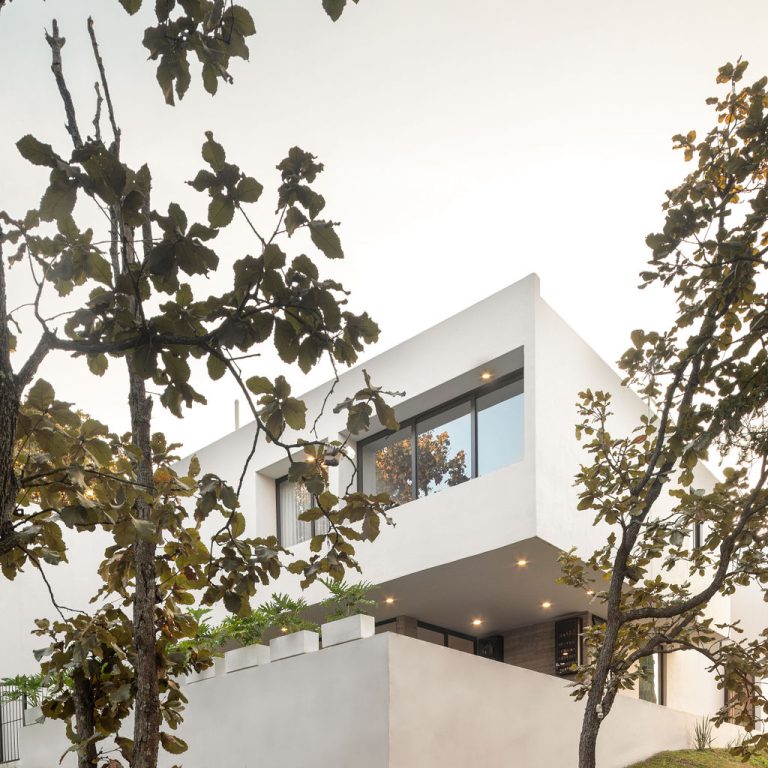 Casa entre arboles por IMA taller de arquitectura