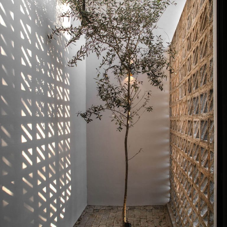 Casa entre arboles por IMA taller de arquitectura (8)
