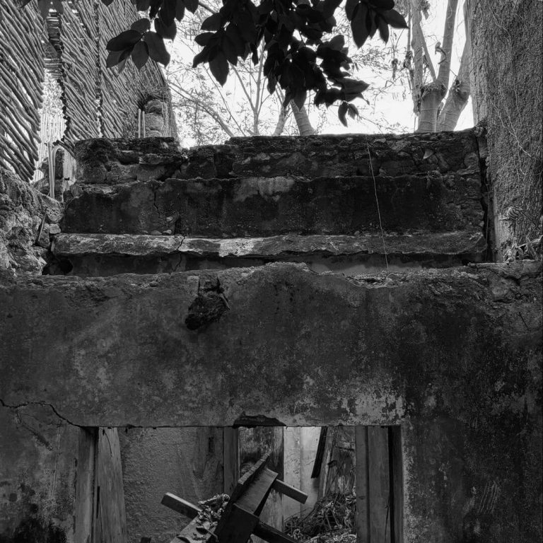 Casa guarumo en Yucatán