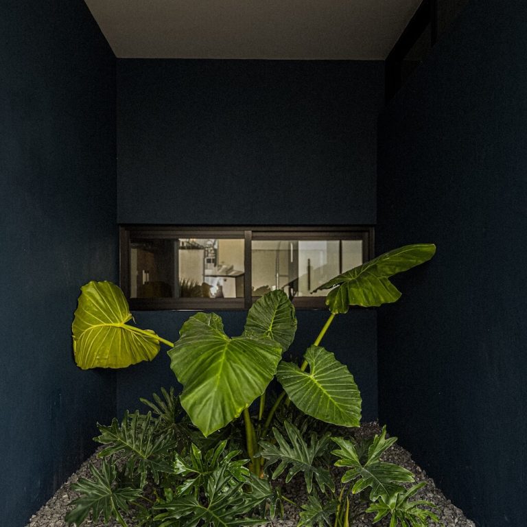 Casa la Moraleja en jalisco: Una casa Funcional de Dos Plantas para Terrenos Reducidos