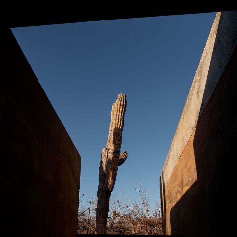 Casa morada escondida por Taller de Terreno en Baja California Sur