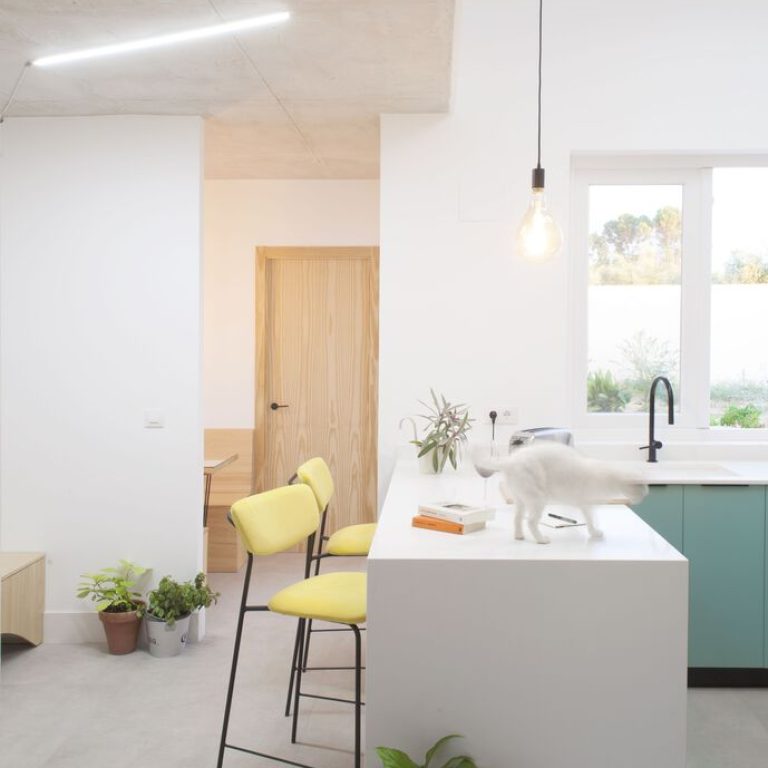 Casa para una familia de felinos y caninos en España