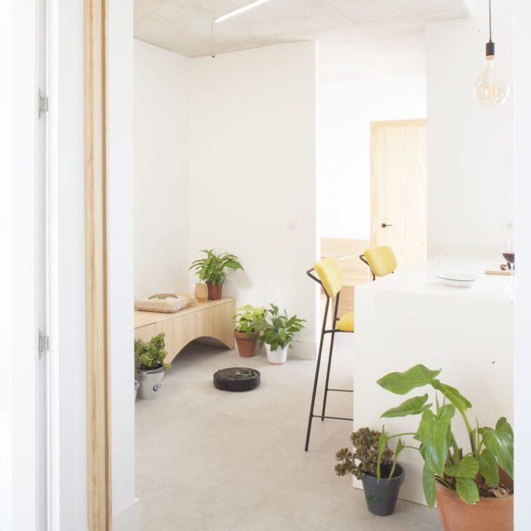 Casa para una familia de felinos y caninos en España
